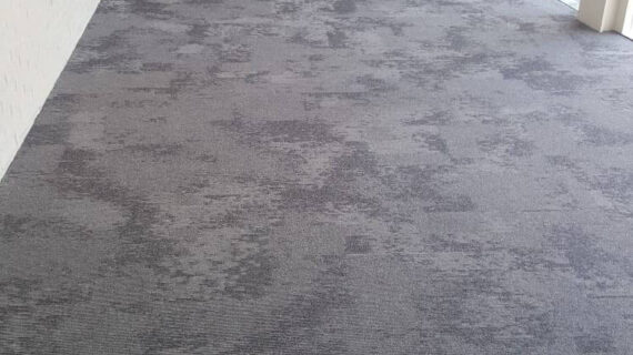 Hal met donker tapijt in prinsenborgh nijverdal